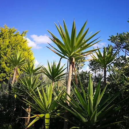 Surf House Helena 게스트하우스 4*