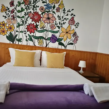 Surf House Helena 게스트하우스 발리알