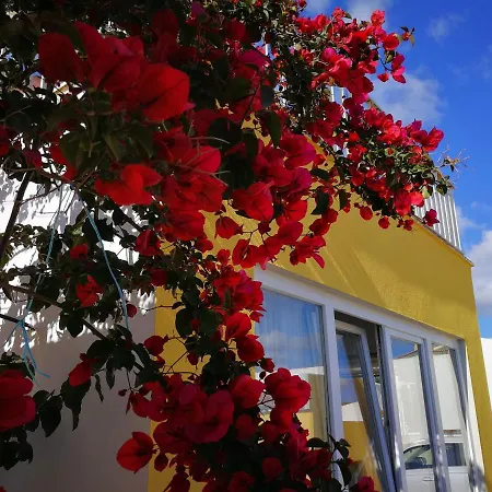 게스트하우스 Surf House Helena 4*